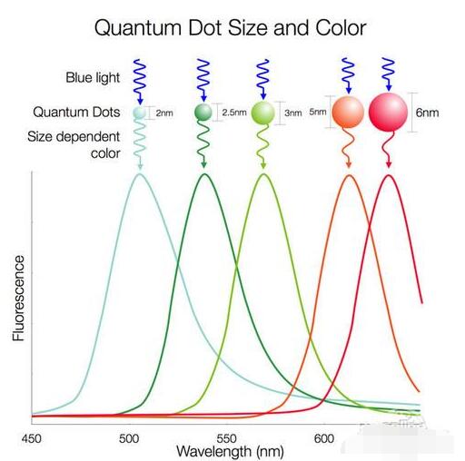 淺談LCD/量子點/OLED三種液晶技術對比誰更牛